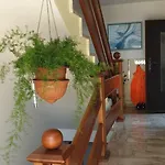 Salzkammergut-live 포르히도르프