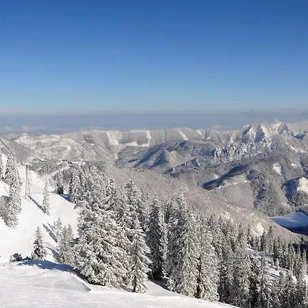Salzkammergut-live * Vorchdorf