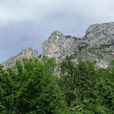 Apartment Salzkammergut-live Vorchdorf