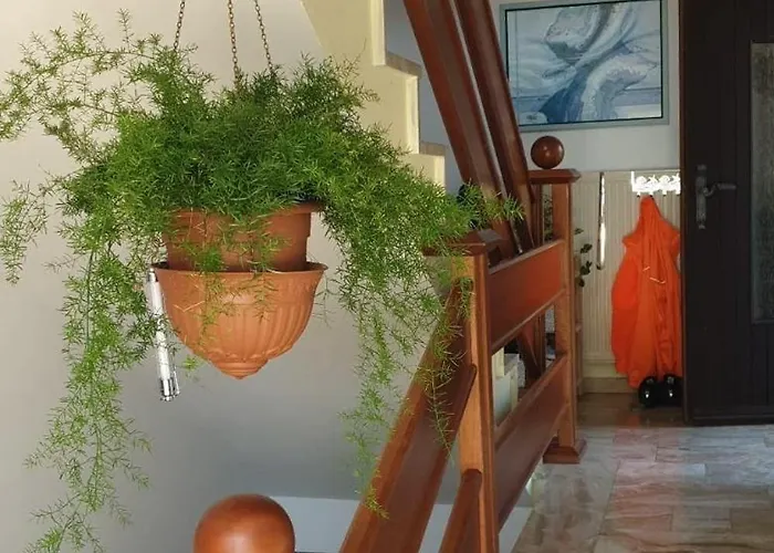 Salzkammergut-live Vorchdorf