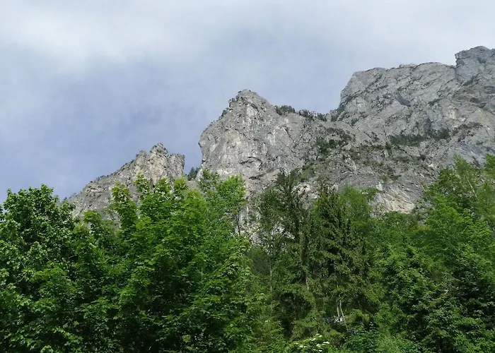Apartamento Salzkammergut-live Vorchdorf